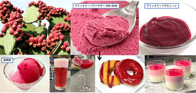 赤色素の救世主！新たな天然赤色素　メキシコ産ウチワサボテンパウダー販売開始