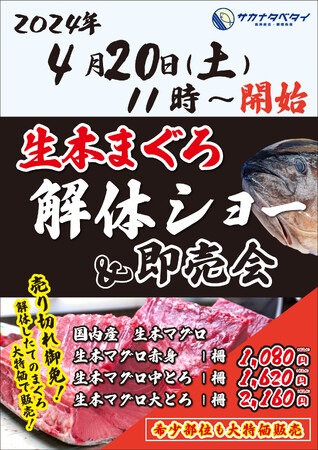 『サカナタベタイMEGAドン・キホーテ本八幡』の生本鮪解体ショーは、2024年4月20日(土)11時スタート!!