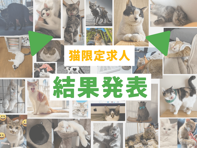 4/1猫限定求人の結果｜たくさんのご応募ありがとうございました
