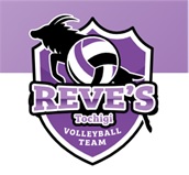 レーヴィス栃木のV.LEAGUE参入が正式決定