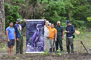 公益信託「サントリー世界愛鳥基金」２０２４年度助成先決定