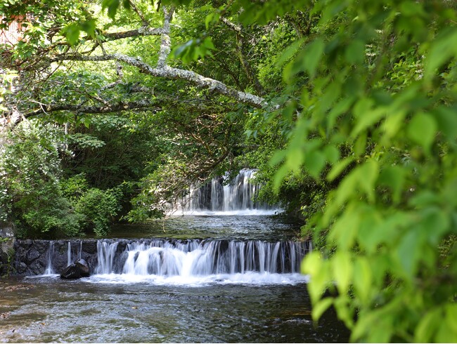 【山翠楼SANSUIROU/海石榴つばき】初夏のご旅行はご家族一緒に奥湯河原へ!