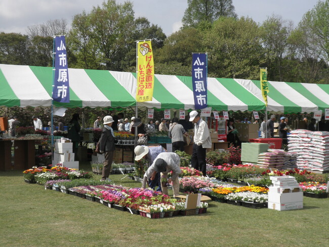 【千葉県市原市】第42回　市原市園芸まつりを開催