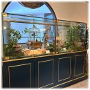 シンギングバードルーム シンギングバードルーム