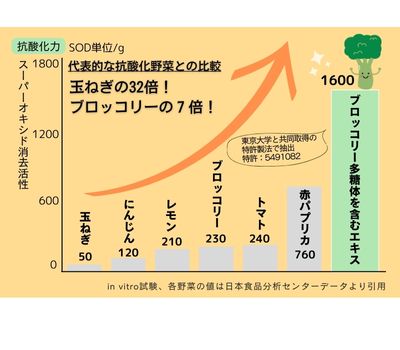紫外線を浴びる季節に。ブロッコリー多糖体エキス、他の野菜と比べても活性酸素消去能が高い！　～生のブロッコリーの7倍、玉ねぎの32倍～