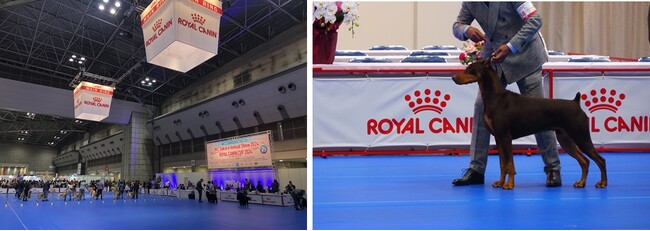 ロイヤルカナン、ドッグショーへの協賛を通じ専門家のサステナブルな発展を支援