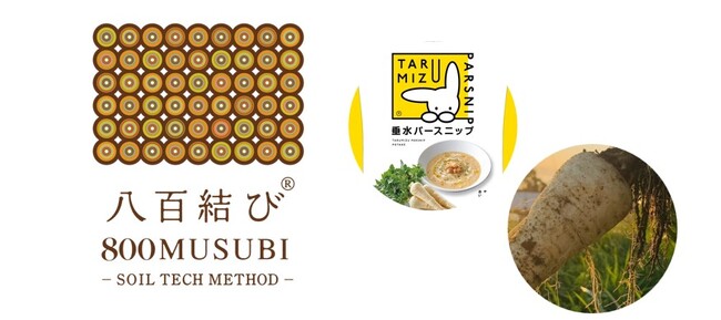 日本初パースニップの地域特産化へ！　土のマーケティング会社 壌結合同会社が注目野菜パースニップを自社栽培する青果市場 垂水大同青果と業務提携