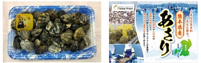 プライドフィッシュ認定※１）「熊本県産あさり」を販売