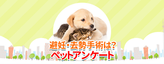 犬や猫の発情期や避妊・去勢手術について調査!手術を受けたのは何割?『ペット保険比較のピクシー』