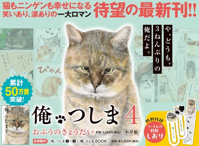 累計50万部突破のリアル猫漫画、『俺、つしま4』3年ぶり待望の最新刊が本日発売!!