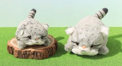 人気の珍獣「マヌルネコ」がぬいぐるみに!?　Bleu Bleuet(ブルーブルーエ)の店舗とオンラインストアで5/1（水）より販売開始！