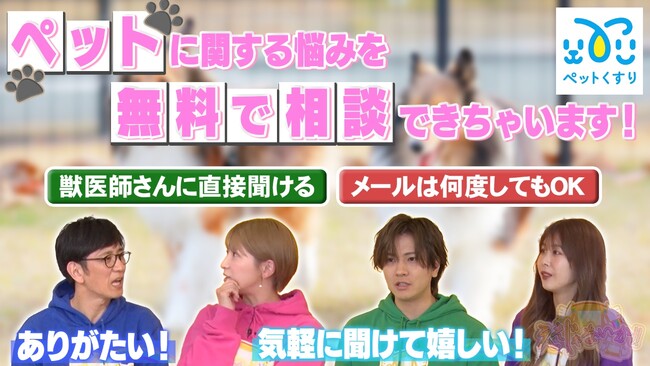 【テレビで紹介】犬猫のお悩みを獣医師に何度でも質問できる「ペットくすり・獣医無料相談サービス」がリニューアル！