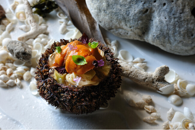 【星野リゾート　リゾナーレトマム】メインダイニング「OTTO SETTE TOMAMU」にて夏限定のディナーコースを提供│期間：2024年6月1日～8月31日