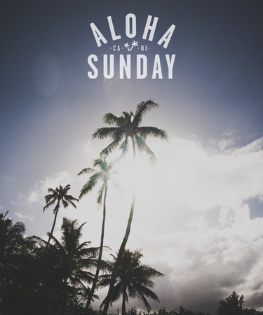アパレルブランド「ALOHA SUNDAY」オンラインストアオープン