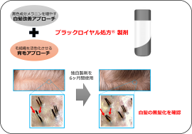 図1：2つのアプローチにより白髪を改善