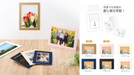 ハクバ インサートカラーペーパースタンド 商品一覧 ハクバ インサートカラーペーパースタンド 商品一覧