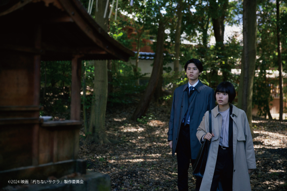 話題沸騰！杉咲花 主演 映画「朽ちないサクラ」公式シナリオブック6/14（金）発売決定!! 原作『朽ちないサクラ』シリーズ累計40万部突破　特製全面帯カバーも解禁!!️