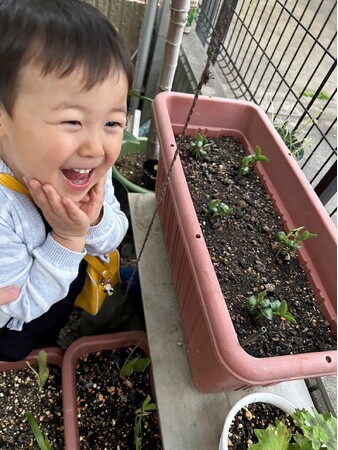 種まきから収穫まで「枝豆づくり体験」　保育施設と連携〔群馬〕