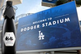 SOJA BLACK SOJA BLACK