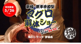 5/26、汐留横丁にて初めてのイベント「親子参加型マグロ解体ショー」を開催。魚の王様“国産の天然マグロ”を食べ尽くすイベント 5/26、汐留横丁にて初めてのイベント「親子参加型マグロ解体ショー」を開催。魚の王様“国産の天然マグロ”を食べ尽くすイベント
