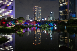 昨年開催の様子 昨年開催の様子