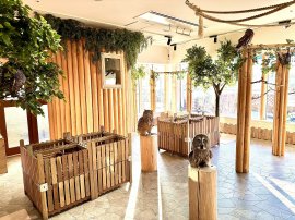 リニューアルしたアドベンチャーエリア リニューアルしたアドベンチャーエリア