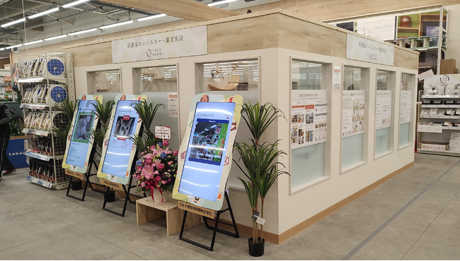 本日ホームセンター内常設シェルター「犬猫タウン 吉岡 にゃんこシェルター」が開設から1周年！実績と今後の展望を公開