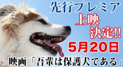 いよいよプレミア上映決定！映画「吾輩は保護犬である」
