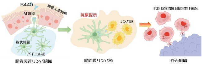 第三者割当増資による第2次　シードラウンドB　4550万円の資金調達完了のお知らせ