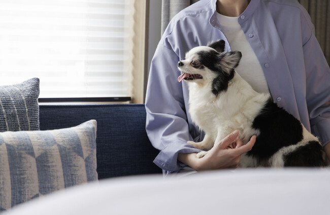 【フェアフィールド・バイ・マリオット 道の駅 プロジェクト】愛犬と一緒に宿泊できる「Dog Friendly Room」の販売を開始します！