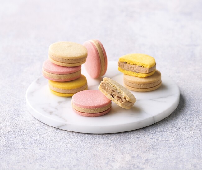 東京発の大人スイーツ専門店「THE SWEETS」から、夏でも溶けにくい「ベイクドショコラサンド」が新登場