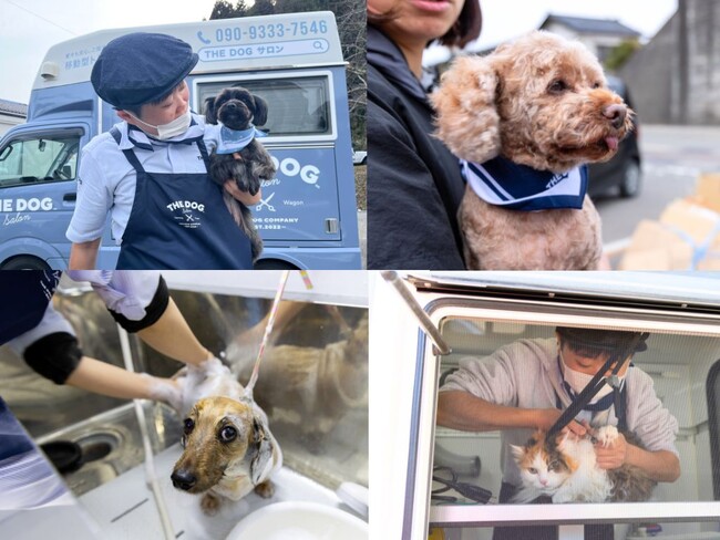 ピースワンコ・ジャパン×THE DOG(TM) Salon Trimming Wagon、能登半島地震被災者支援 出張トリミング第2弾を実施いたします