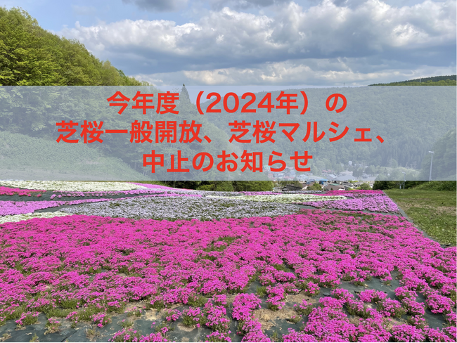 2024年度の芝桜一般開放、芝桜マルシェは中止となります。