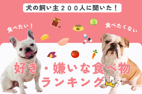 犬が一番嫌いな食べ物はまさかのアレ！一番好きな食べ物嫌いな食べ物ランキング【飼い主200人アンケート】