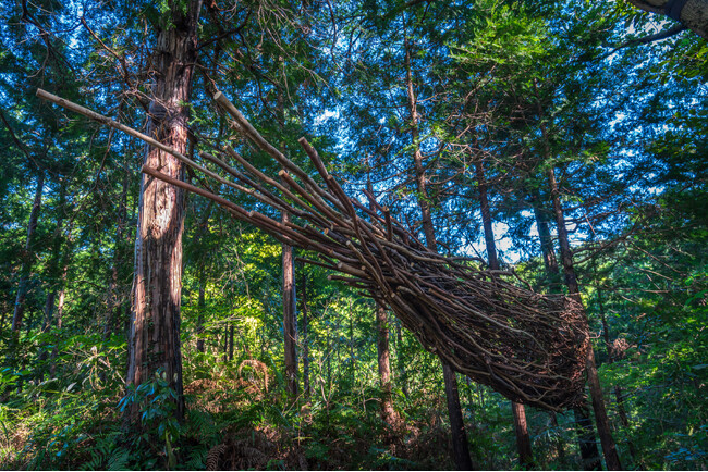 広さ60万平米の自然派アートサイト LAND ART PARK「ACAO FOREST」内に、秋山美晴 氏、市川平 氏によるアート作品を展示！