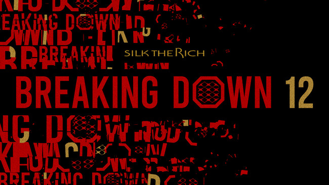 『SILK THE RICH presents BreakingDown 12』チケット販売が2024年5月5日（日）12:00にスタート！