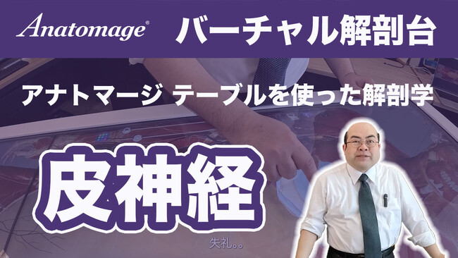 Anatomage、【バーチャル解剖台を使った解剖学】動画シリーズ第一弾を公開