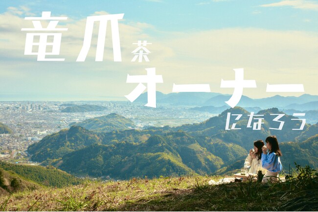 静岡県竜爪で「茶樹オーナー」制度を立ち上げます
