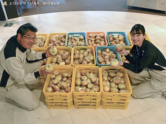 自然と資源が循環するパーク　パークで動物堆肥を用いて栽培した玉ねぎを寄贈　玉ねぎ約１,０００個を地域の子ども支援団体へ