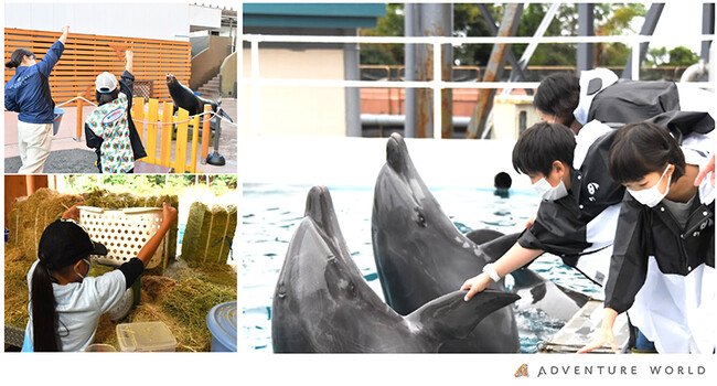 SPRING ADVENTURE ２０２４　職業体験で動物たちのお世話にチャレンジしよう！「わくわく！お仕事アドベンチャー☆動物たちのお世話体験」開催