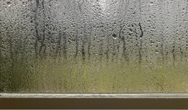 湿気に悩む女性は