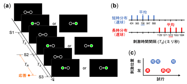 タイミング学習における身体部位特異性