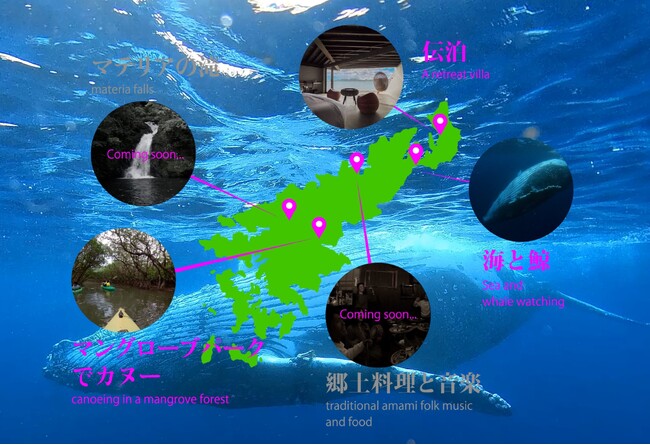 好きな視点に移動しながら没入VR映像体験　奄美大島の観光スポットを東京ビッグサイトで体感しよう！　多視点VR映像アプリ『POV tourism』を観光DX・マーケティングEXPOに出展