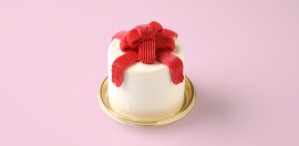 ＰＲＥＭＩＵＭ＜ギフトＢＯＸ＞　９１８円（税込）