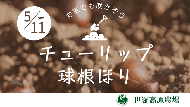【広島／世羅】チューリップの球根ほりイベント開催《世羅高原農場》