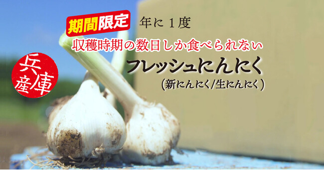 昨年の好評を受け今年も発売！食べられるのはこの時期だけ！ナカバヤシ“やぶひこ フレッシュにんにく（新にんにく/生にんにく）”の販売予約受付を当社運営ECサイトで開始