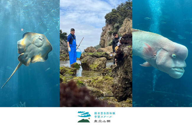 東京山側DMCと下田海中水族館のコラボレーションが実現！「怪魚ハンターたっちゃんと下田海中水族館特別体験プログラム」が大盛況