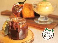 プラントベースフード向け素材ブランド『プラントdeリッチ』から、植物性原料でキャラメル味を付与する「キャラメルテイスト」を2024年4月より販売