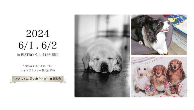「盲導犬クイールの一生」撮影フォトグラファー『ワンちゃん思い出Photo撮影会』イベント開催のお知らせ
