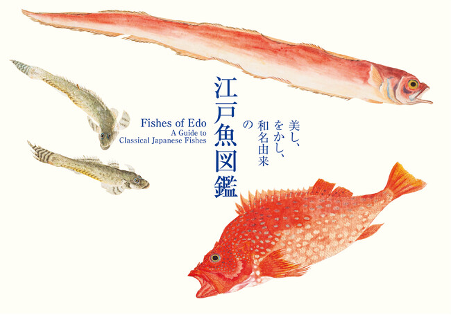 海洋国で生きる日本人と魚の奥深い物語を江戸の写生図譜でみる書籍『美し、をかし、和名由来の江戸魚図鑑』5月20日発売